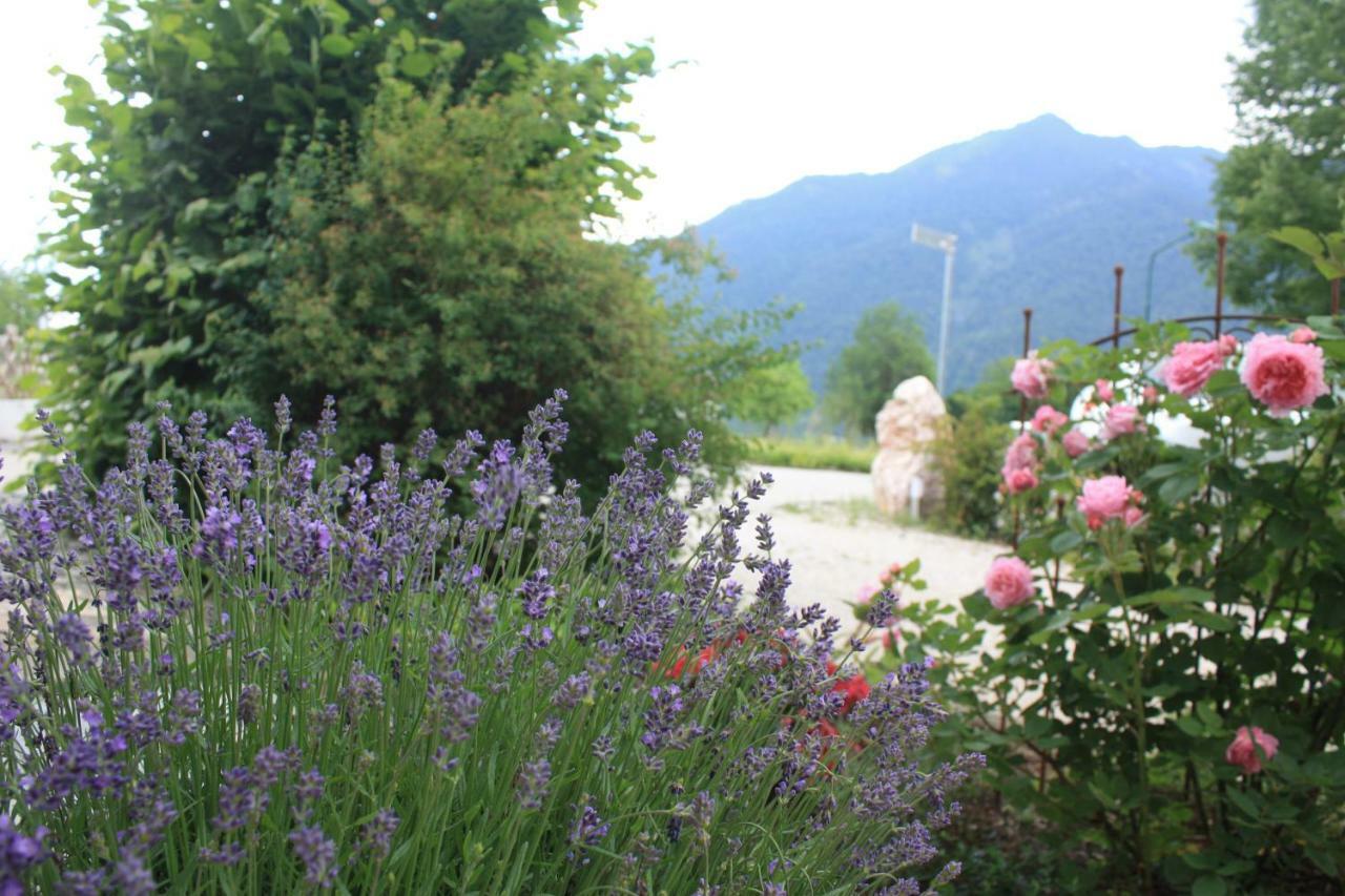 Landlust Ischl Bed & Breakfast Bad Ischl Dış mekan fotoğraf