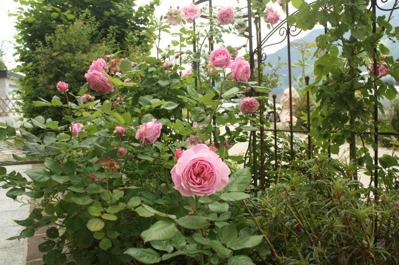 Landlust Ischl Bed & Breakfast Bad Ischl Dış mekan fotoğraf